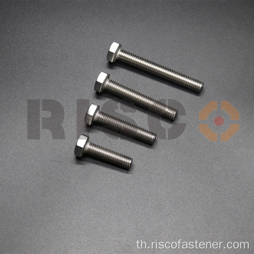 304316 สแตนเลสสตีล Hex Bolt DIN933